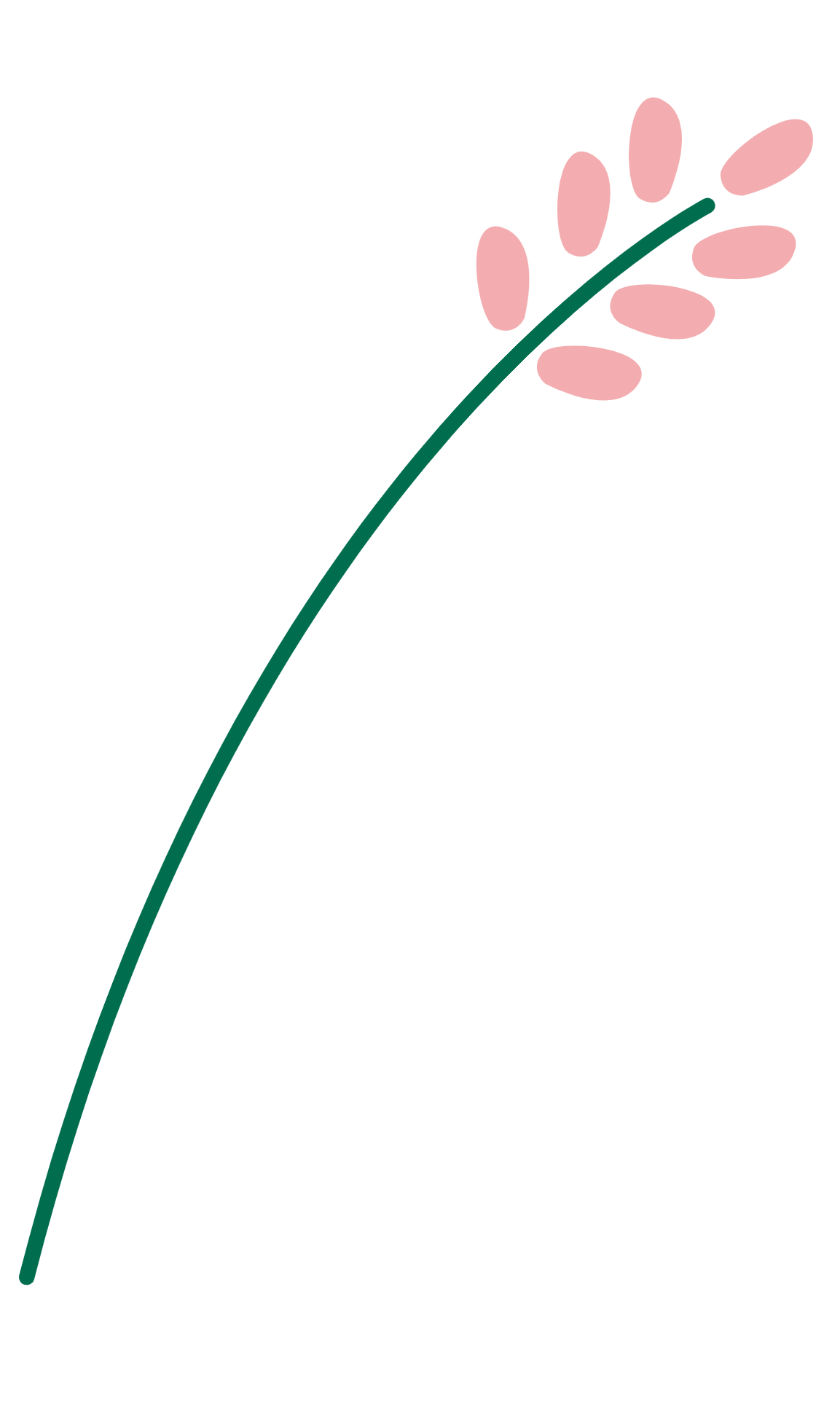 Pflanzengrafik Pflanzengrafik
